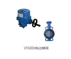 VF6000늄(dng)y